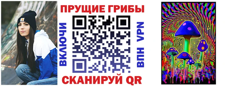 Псилоцибиновые грибы ЛСД сайты даркнета формула Красный Кут